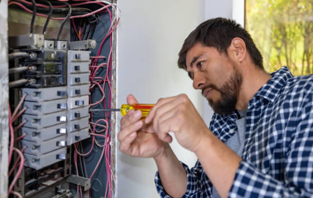 Best Home Electrical Repair  in Clio, MI
